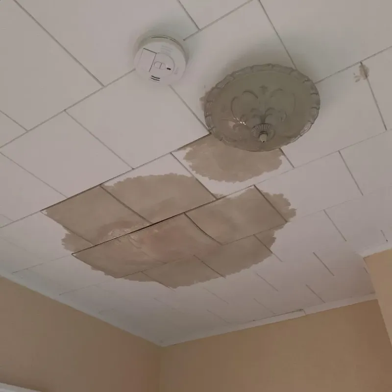 Ceiling Water Damage Repair in Nemaha County, KS