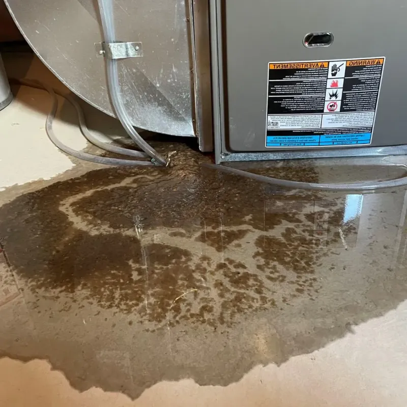 Pipe Burst and Leak Restoration in Nemaha County, KS